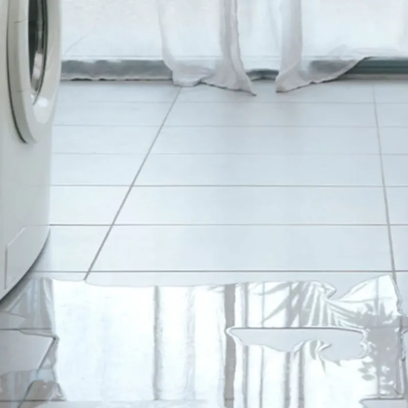 Appliance Leak Cleanup in Dixon, KY