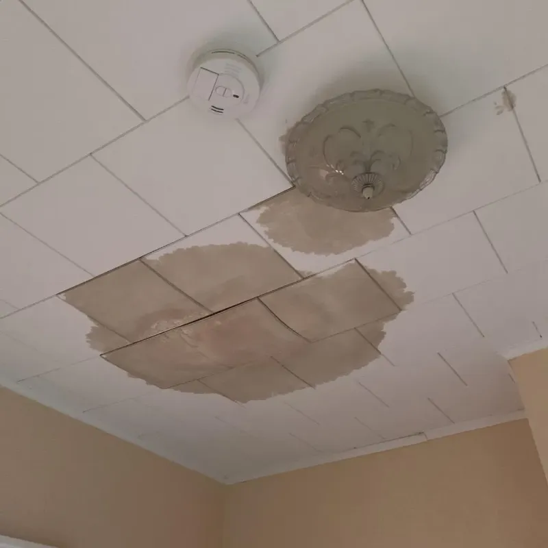Ceiling Water Damage Repair in Dixon, KY