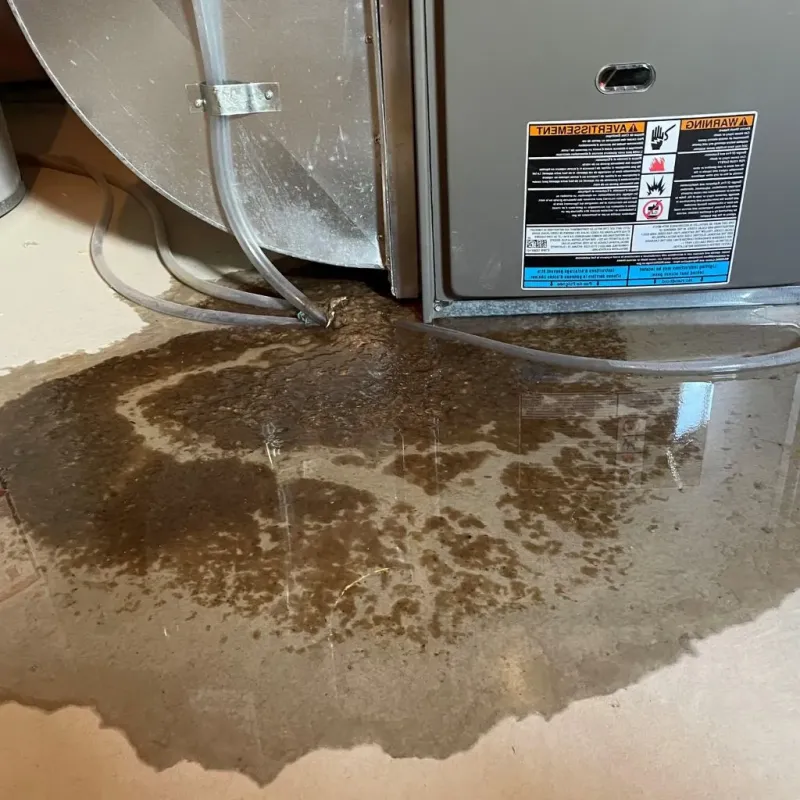 Pipe Burst and Leak Restoration in Dixon, KY