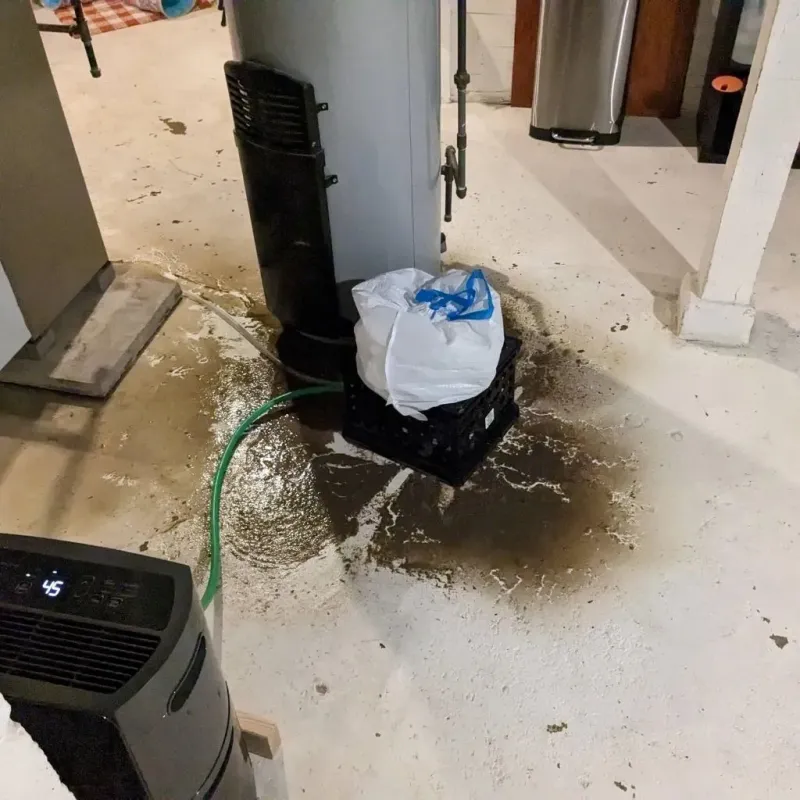 Sewage Backup Cleanup Service in Dixon, KY